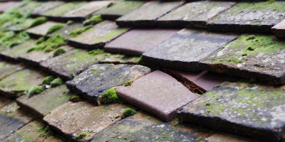 Prestwood roof repair costs